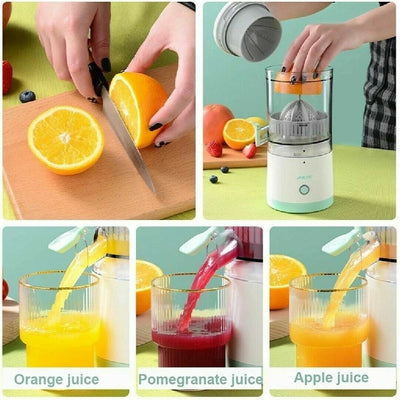 Automatic Fruit Juicer